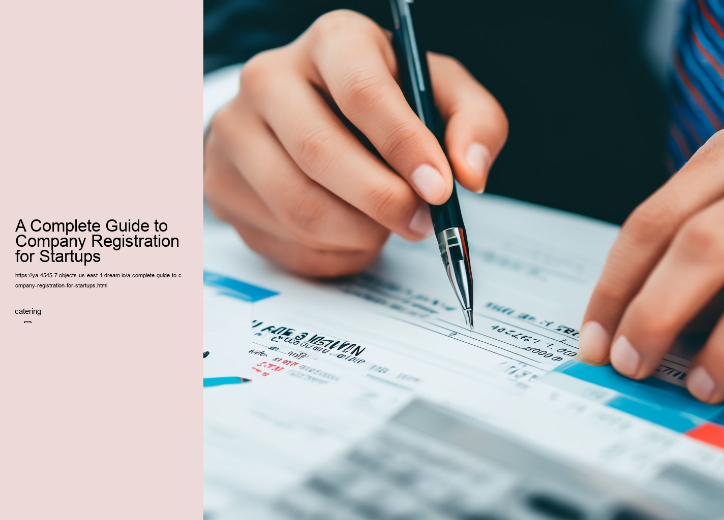 A Complete Guide to Company Registration for Startups