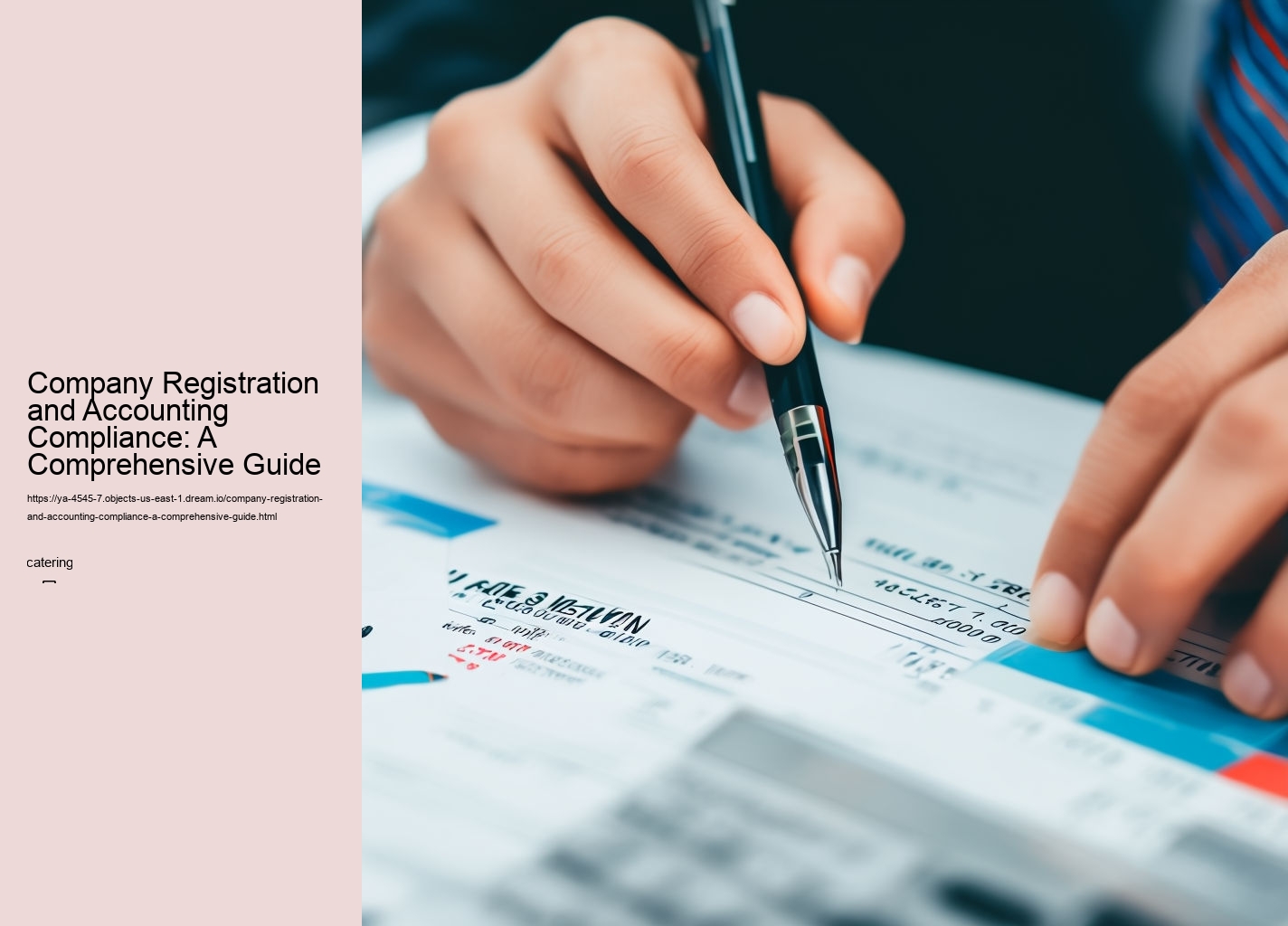 Company Registration and Accounting Compliance: A Comprehensive Guide