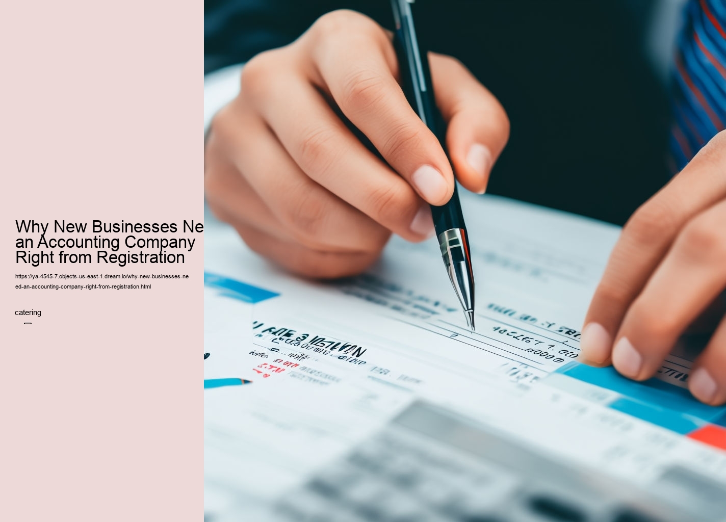 Why New Businesses Need an Accounting Company Right from Registration